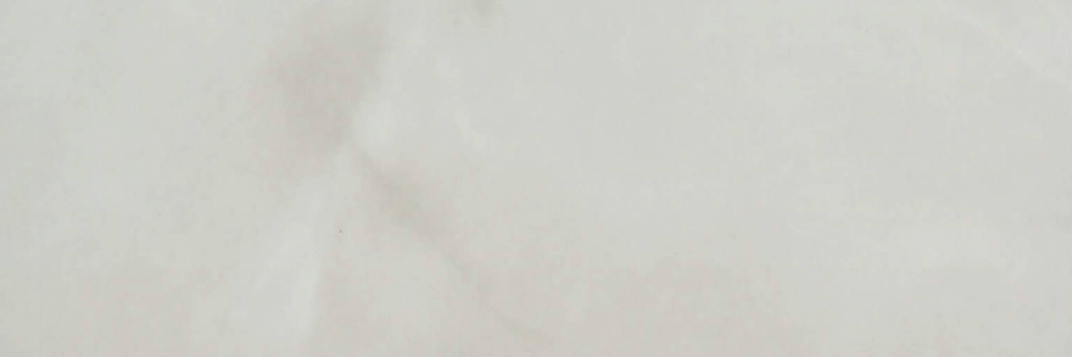 Sorrento Onyx Polished 4X12 | Young Interiors Flooring Center