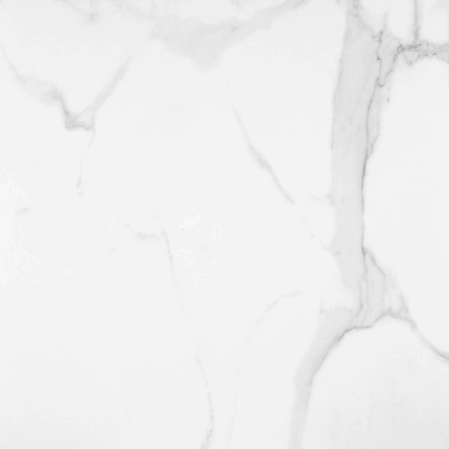 Statuario Venezia Honed 24X24 | Young Interiors Flooring Center