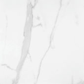 Statuario Venezia Honed 24X24 | Young Interiors Flooring Center