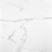 Statuario Venezia Honed 32X32 | Young Interiors Flooring Center