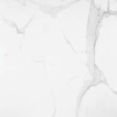 Statuario Venezia Polished 24X24 | Young Interiors Flooring Center