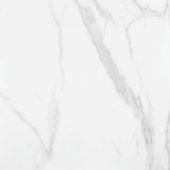 Statuario Venezia Polished 32X32 | Young Interiors Flooring Center