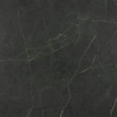 Tivoli Nero Honed 24X24 | Young Interiors Flooring Center
