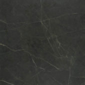 Tivoli Nero Honed 32X32 | Young Interiors Flooring Center