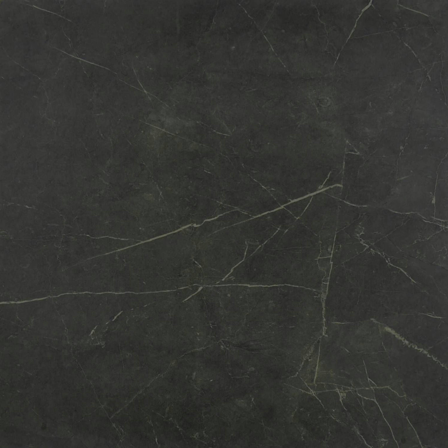 Tivoli Nero Polished 24X24 | Young Interiors Flooring Center