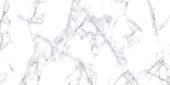 Treasure Ice White Marble 12x24 Polished | Young Interiors Flooring Center