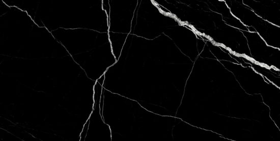 Treasure Midnight Nero 12x24 Matte | Young Interiors Flooring Center