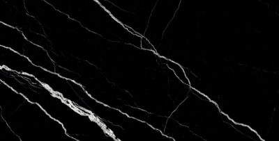 Treasure II Midnight Nero 12×24 Matte