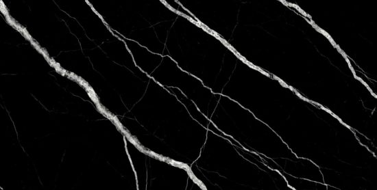 Treasure Midnight Nero 12x24 Matte | Young Interiors Flooring Center