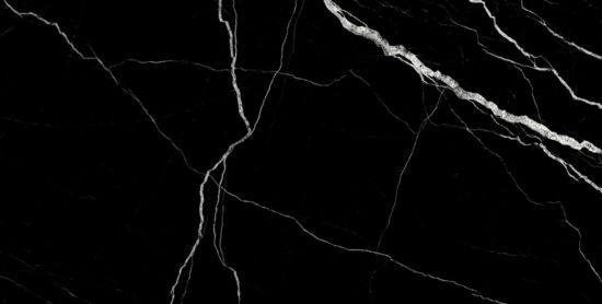 Treasure Midnight Nero 12x24 Polished | Young Interiors Flooring Center