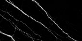 Treasure Midnight Nero 24x48 Polished | Young Interiors Flooring Center