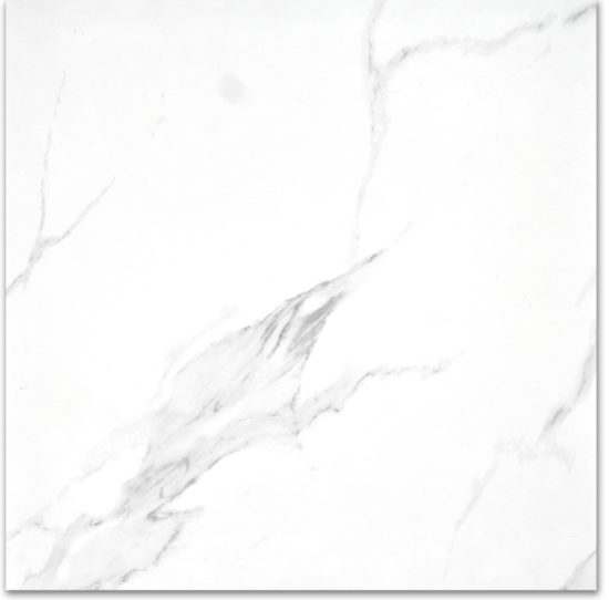Treasure Statuario 24x24 Polished | Young Interiors Flooring Center