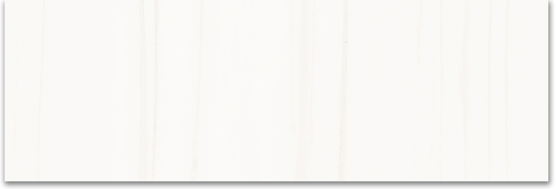 Treasure Ultimate Dolomite 4x12 Polished | Young Interiors Flooring Center