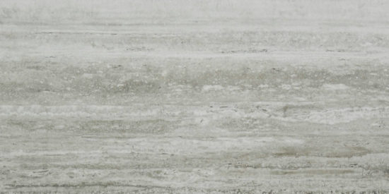 Treiste Travertini Honed 12X24 | Young Interiors Flooring Center