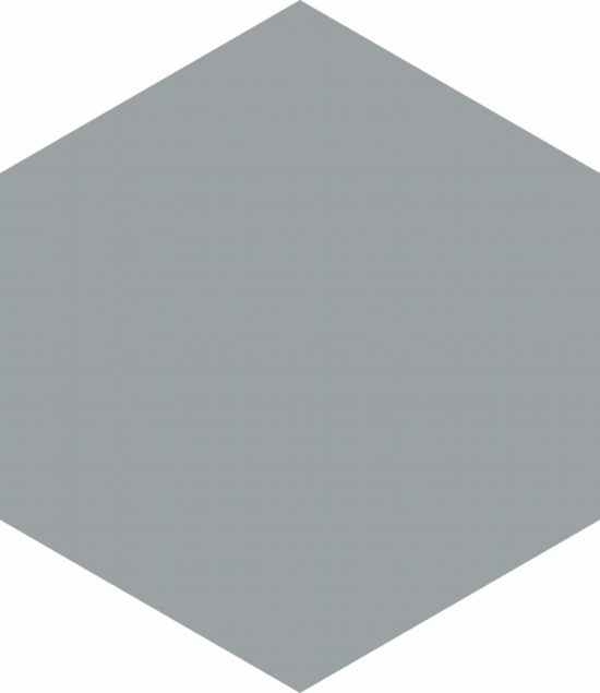 Vida 5.5X6.3” Grey Hexagon | Young Interiors Flooring Center