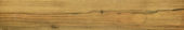Warm Honey 6X36 | Young Interiors Flooring Center