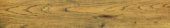 Warm Honey 6X36 | Young Interiors Flooring Center