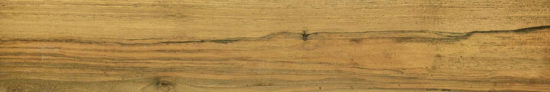 Warm Honey 6X36 | Young Interiors Flooring Center