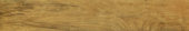 Warm Honey 6X36 | Young Interiors Flooring Center
