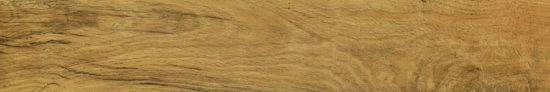 Warm Honey 6X36 | Young Interiors Flooring Center