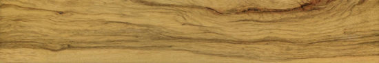 Warm Honey 6X36 | Young Interiors Flooring Center