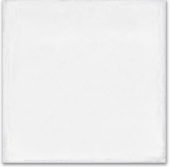 Whitehall Bianco 8x8F | Young Interiors Flooring Center