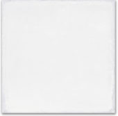 Whitehall Bianco 8x8F | Young Interiors Flooring Center