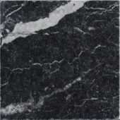 Obsession 10x10 Nero | Young Interiors Flooring Center