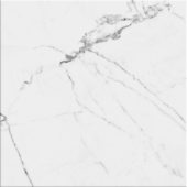 Obsession 10x10 Statuario | Young Interiors Flooring Center