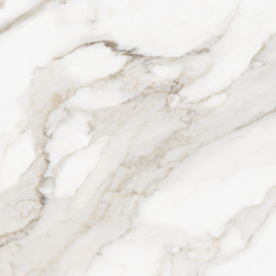 Royal Stoneworks 24X24 Calacatta Royale Honed | Young Interiors Flooring Center