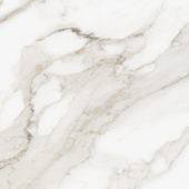 Royal Stoneworks 24X24 Calacatta Royale Polished | Young Interiors Flooring Center