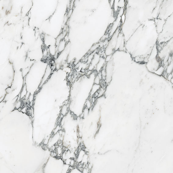 Royal Stoneworks 24X24 Italian Arabescato Honed | Young Interiors Flooring Center