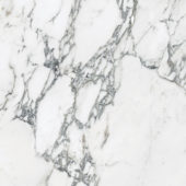 Royal Stoneworks 24X24 Italian Arabescato Polished | Young Interiors Flooring Center