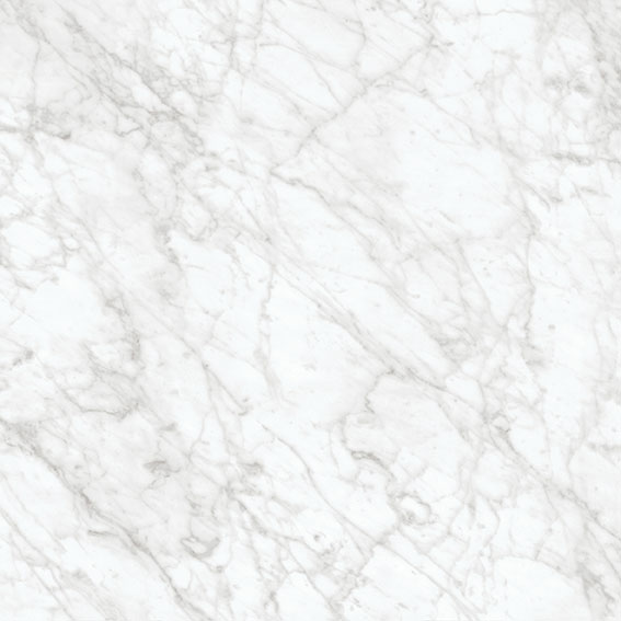 Royal Stoneworks 24X24 Old World Bianco Honed | Young Interiors Flooring Center