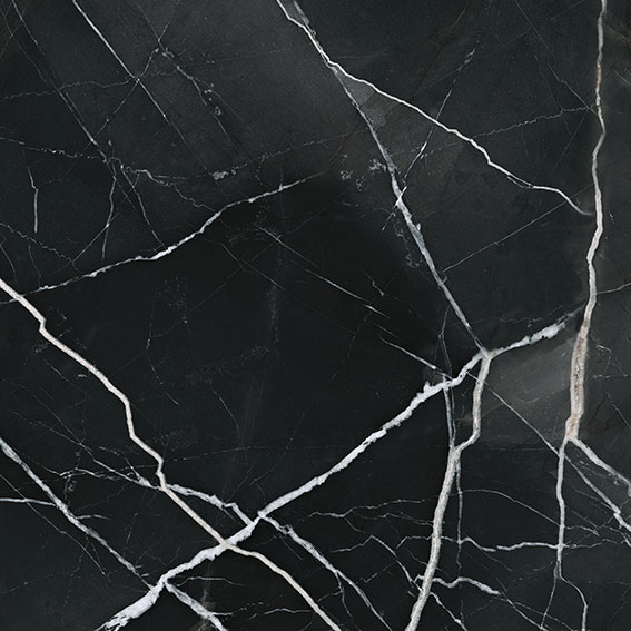 Royal Stoneworks 24X24 Regal Black Vein Polished | Young Interiors Flooring Center
