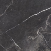 Royal Stoneworks 24X24 Tuscan Forge Vein Polished | Young Interiors Flooring Center