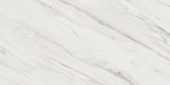 Royal Stoneworks 24X48 Italian Cream Vein Honed | Young Interiors Flooring Center