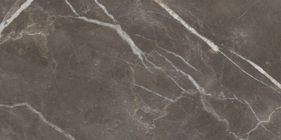 Royal Stoneworks 24X48 Regal Brown Marble Honed | Young Interiors Flooring Center