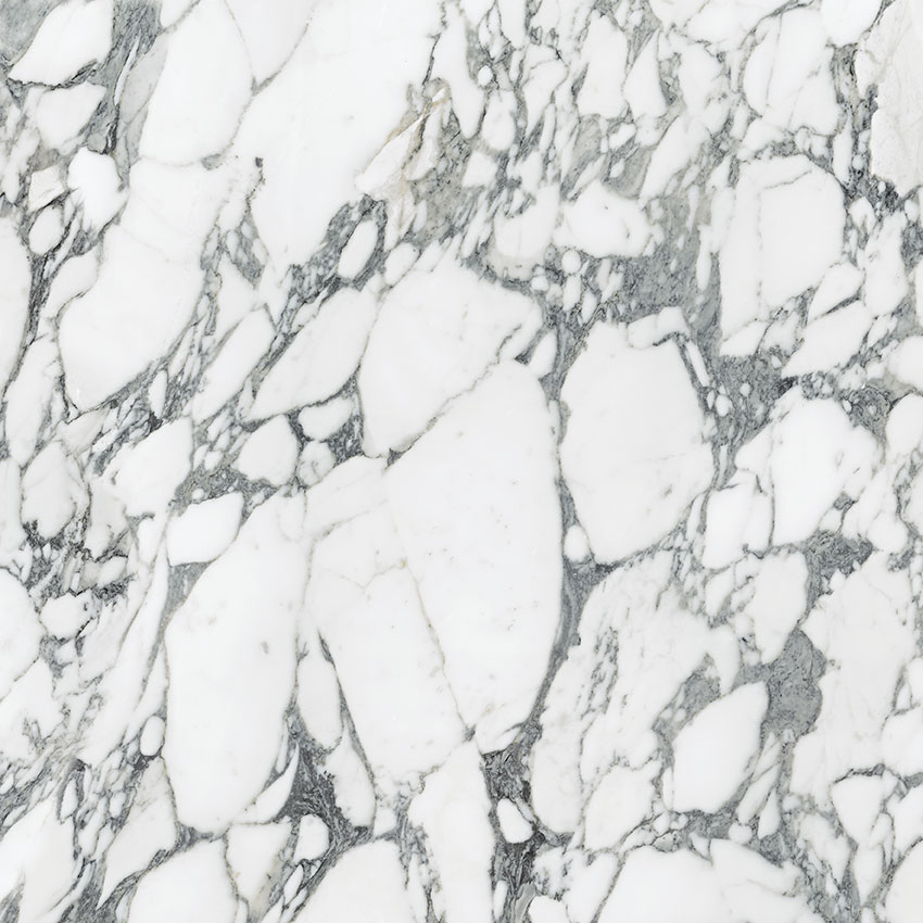 Royal Stoneworks 36X36 Italian Arabescato Honed | Young Interiors Flooring Center