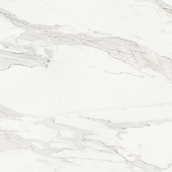 Royal Stoneworks 48X48 Crown Calacatta Honed | Young Interiors Flooring Center