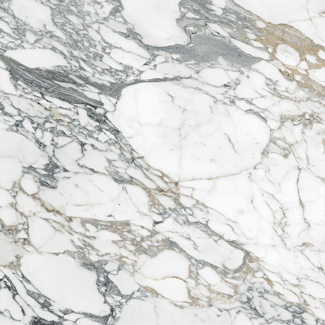 Royal Stoneworks 48X48 Italian Arabescato Honed | Young Interiors Flooring Center