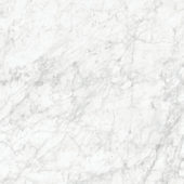 Royal Stoneworks 48X48 Old World Bianco Polished | Young Interiors Flooring Center