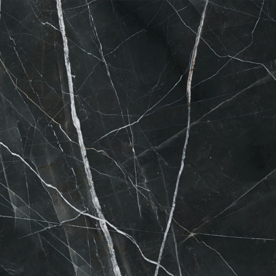Royal Stoneworks 48X48 Regal Black Vein Honed | Young Interiors Flooring Center