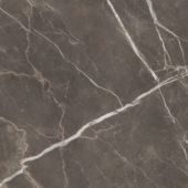 Royal Stoneworks 48X48 Regal Brown Marble Honed | Young Interiors Flooring Center