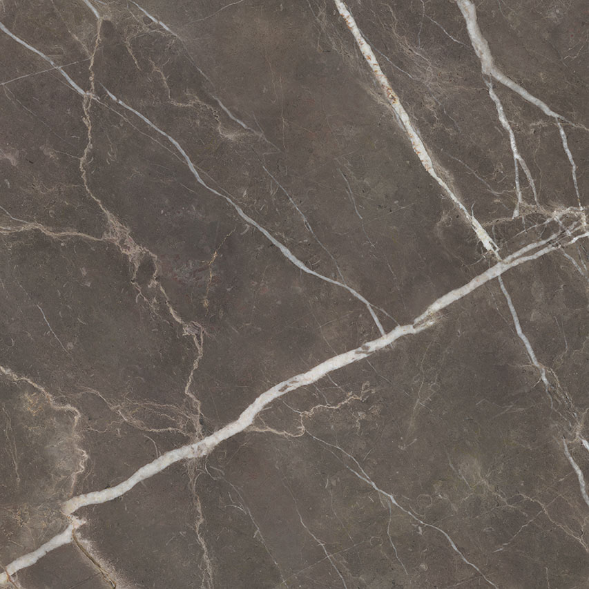 Royal Stoneworks 48X48 Regal Brown Marble Honed | Young Interiors Flooring Center