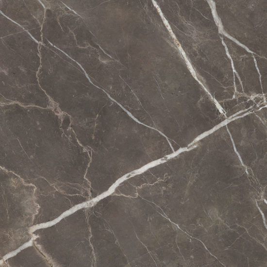 Royal Stoneworks 48X48 Regal Brown Marble Polished | Young Interiors Flooring Center
