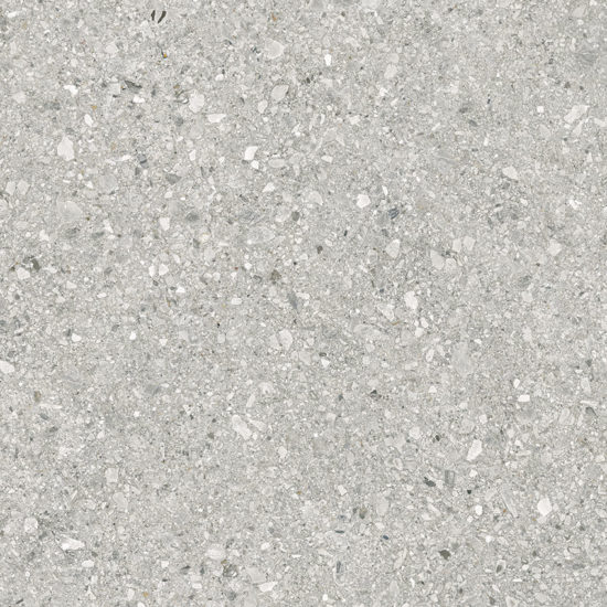 Royal Stoneworks 48X48 Regal Fossil Vein Honed | Young Interiors Flooring Center