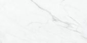 Altezza 12x24 Carrara | Young Interiors Flooring Center