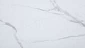 Carrara Marble Wall Tile 25x15 | Young Interiors Flooring Center