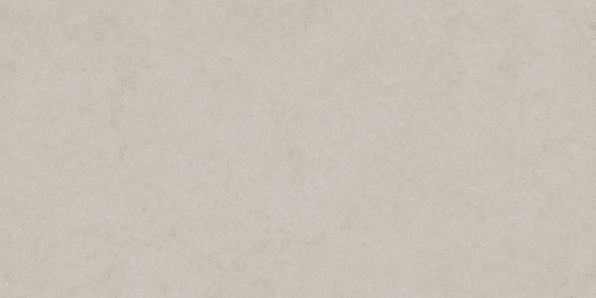 Lithoform 24X48 Crosscut Coast | Young Interiors Flooring Center